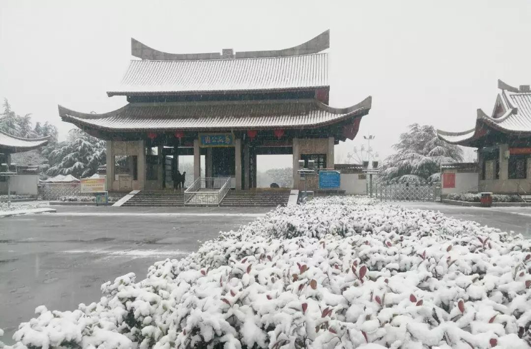 秀水公园里面有什么_秀水公园_秀水公园里有什么好玩的