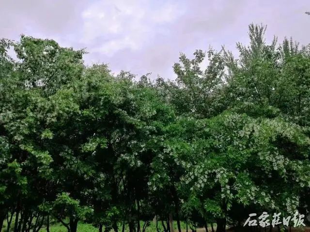秀水公园_秀水公园大门_秀水公园里有什么好玩的