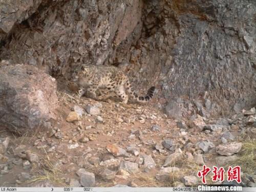丹东格拉思_丹东格拉西安_格拉丹东