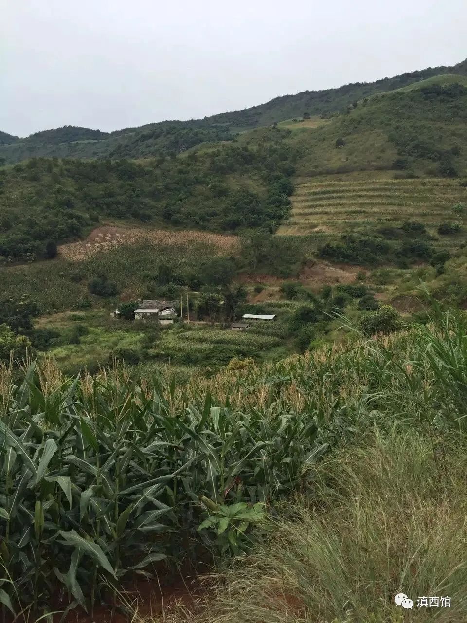 夫民者万世之本也谁写的_夫民者万世之本也不可欺_民夫