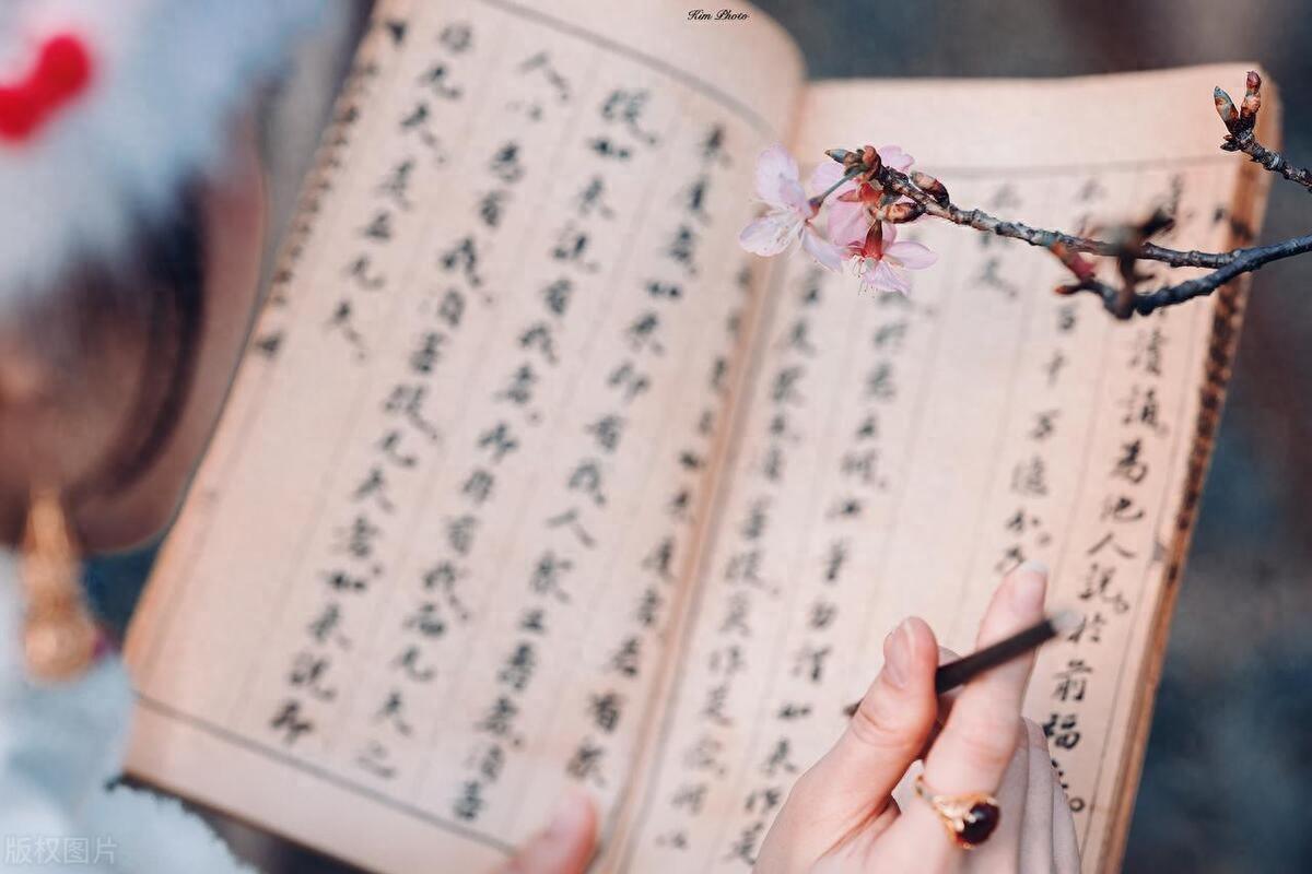 cooing怎么读_cooing_cooing是什么牌子