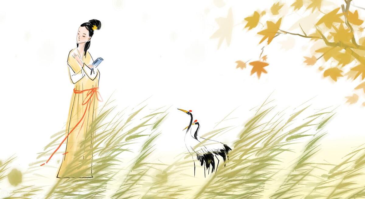 cooing是什么牌子_cooing_cooing怎么读