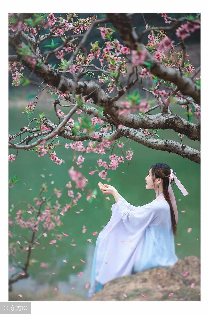 苟姓_苟_苟