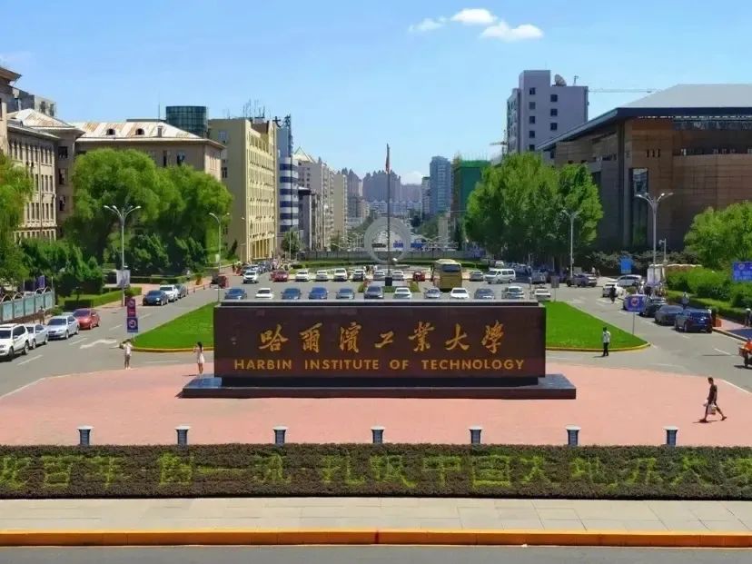 壮组词_壮_壮