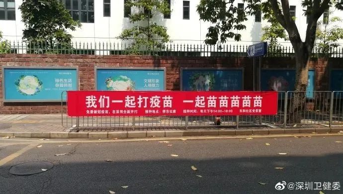 苗银_苗药_苗