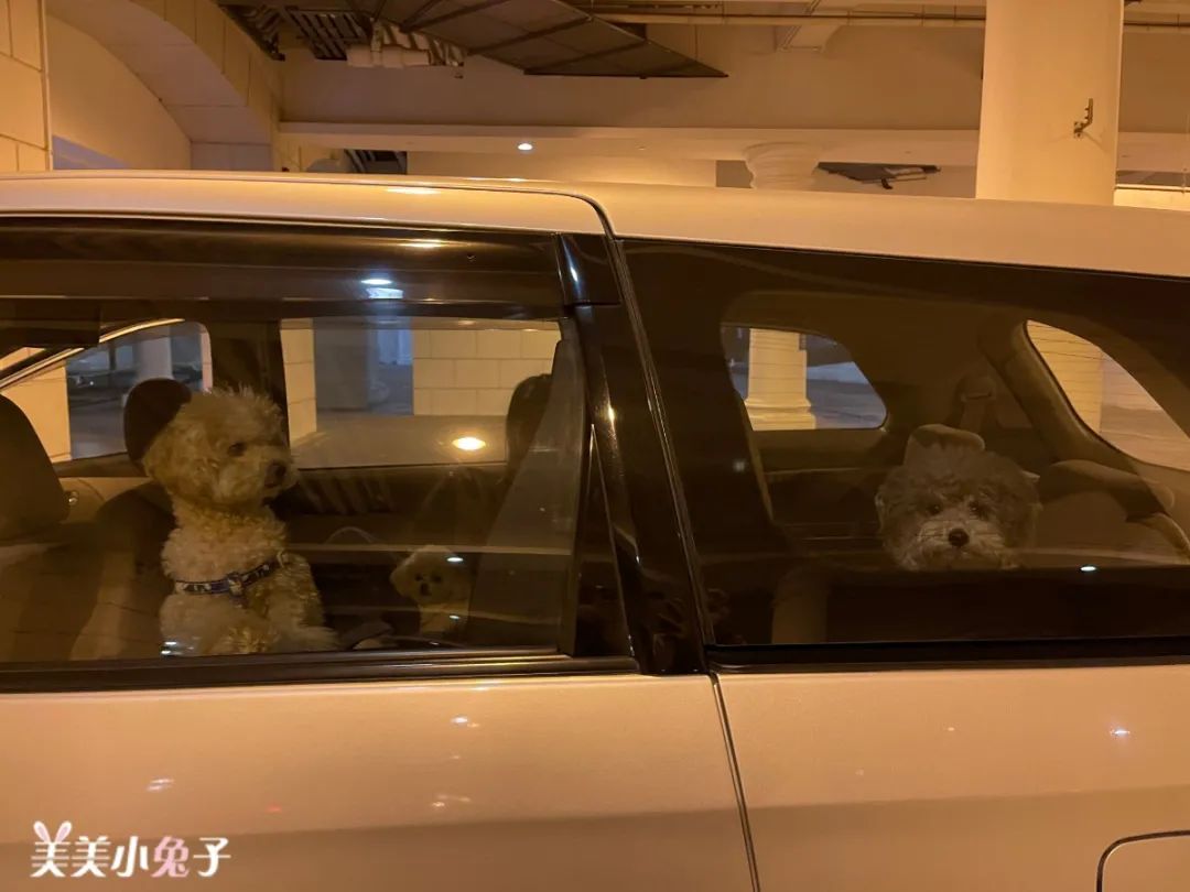 璇_璇_璇怎么读