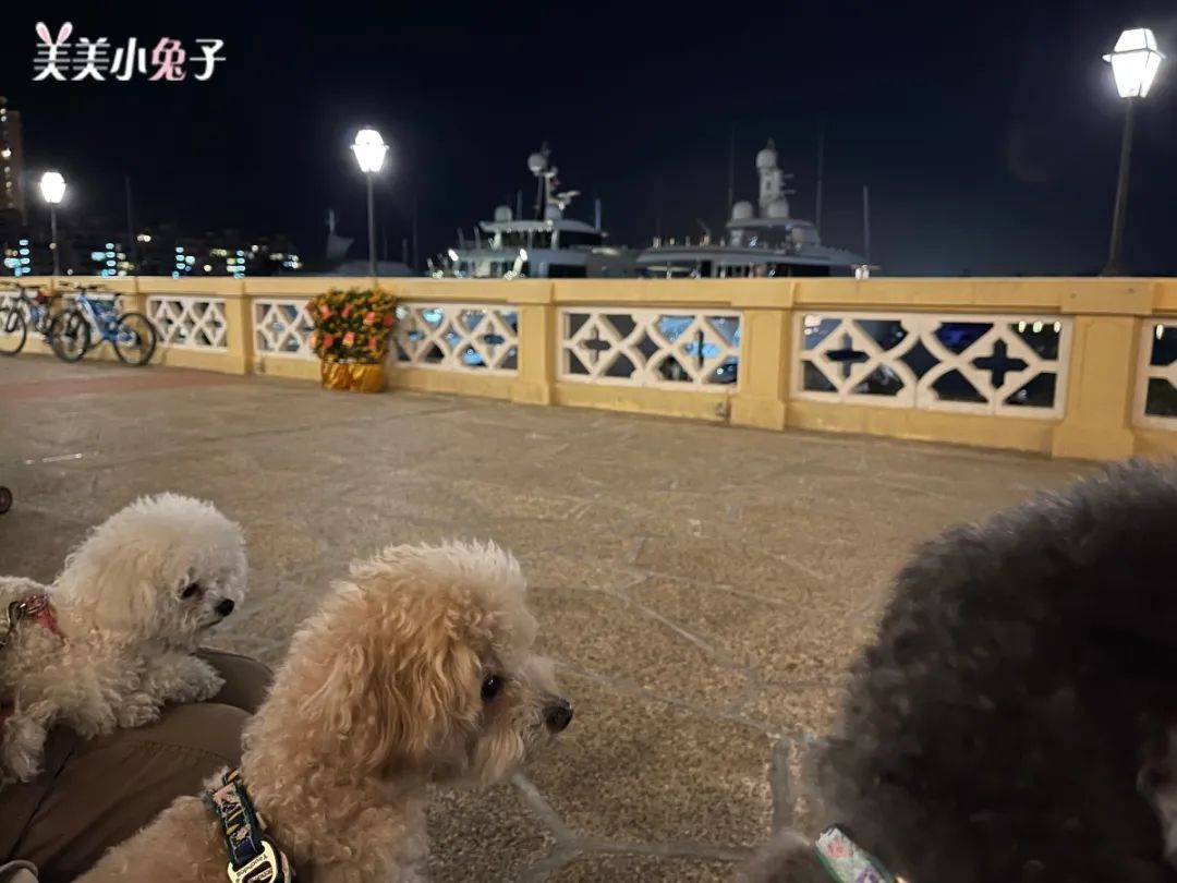 璇怎么读_璇_璇