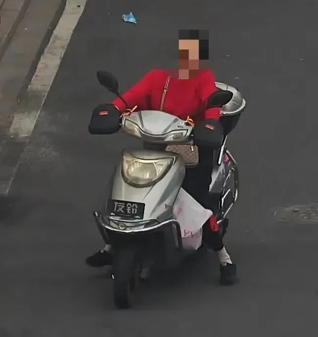陈子璇璇璇_璇_杨璇璇