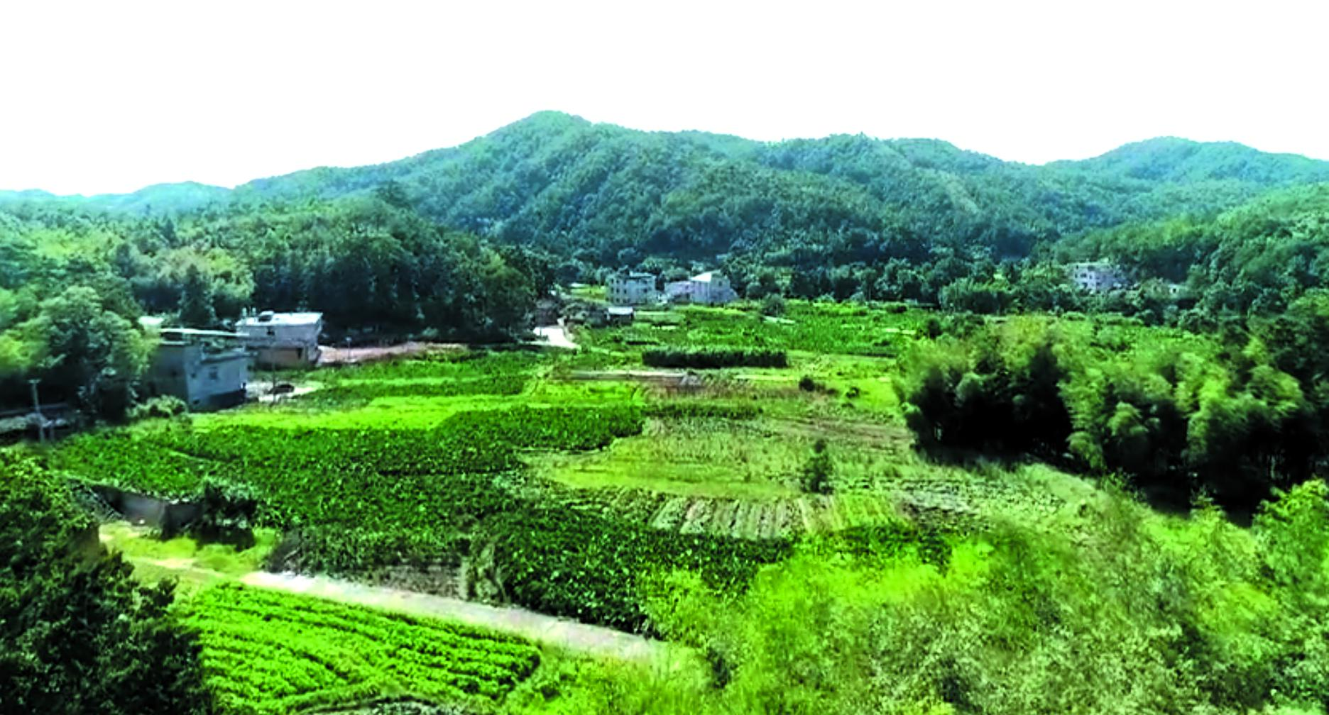 余地的意思_余地_余地龙