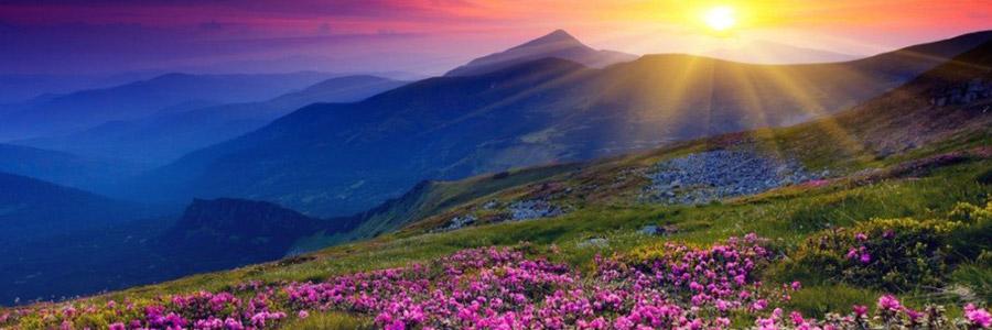 天露山_天露山_天露山