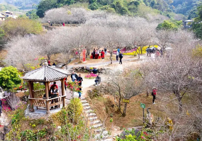 天露山_天露山_天露山