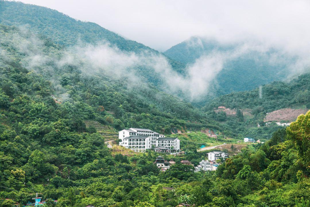 天露山_天露山_天露山