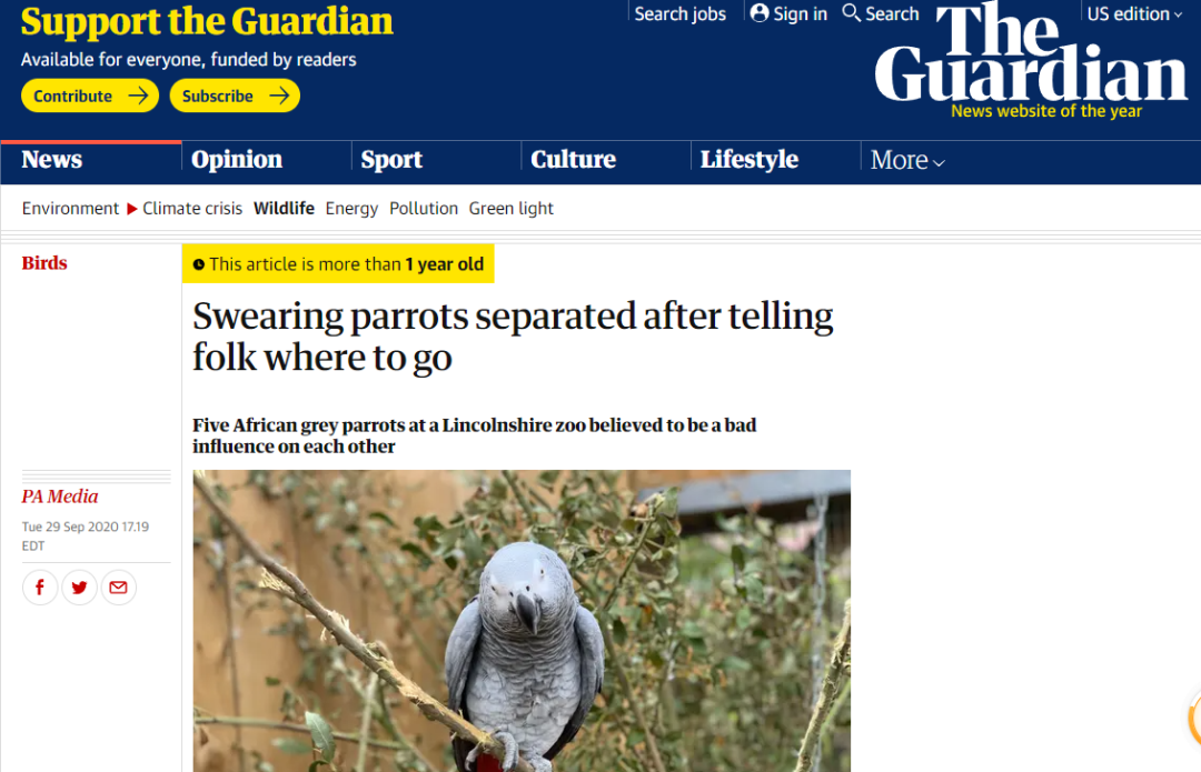 parrots是什么意思_parrots怎么读音标_parrots