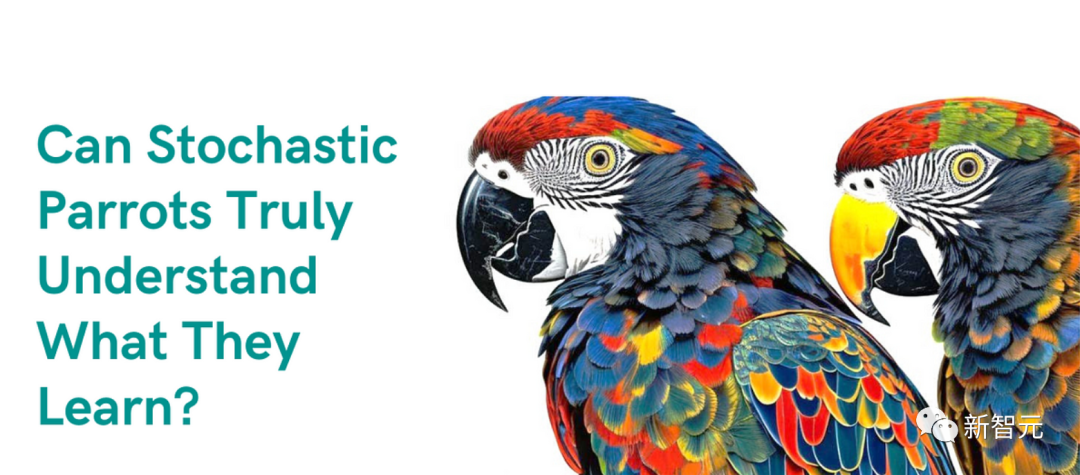 parrots_parrots的s发什么音_parrots怎么读音标