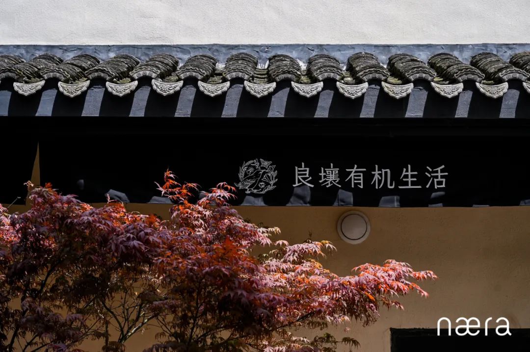 良_良渚_良莠不齐