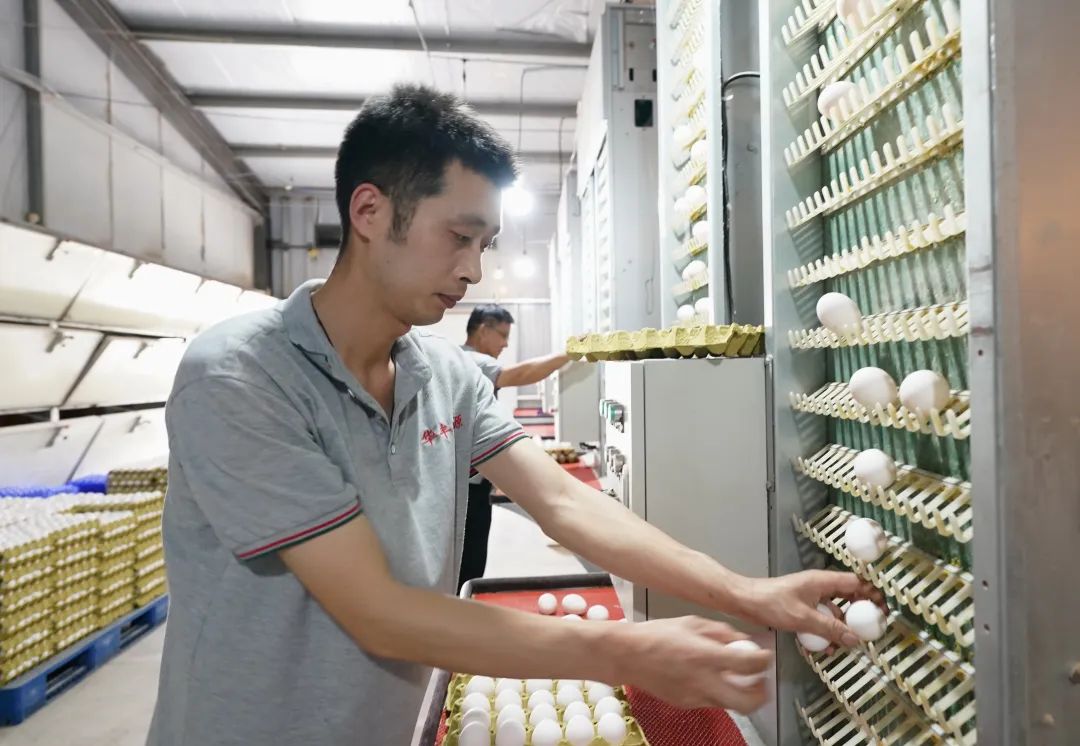 民怨_民怨四起的意思_民怨越来越大