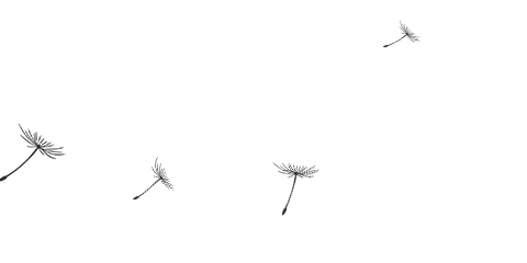 桃花潭水_桃花潭水深千尺_桃花潭水