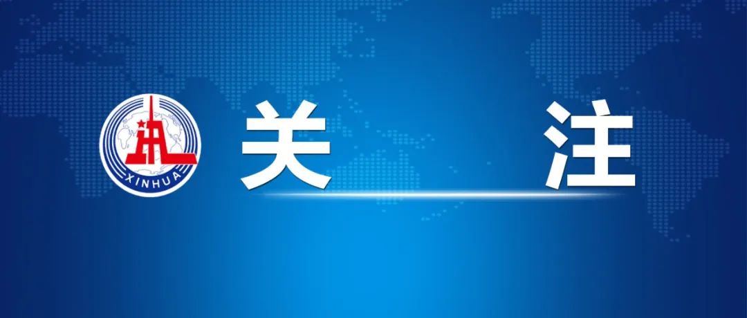 团伙偷盗和个人偷盗的区别_团伙和个人犯罪的区别_团伙