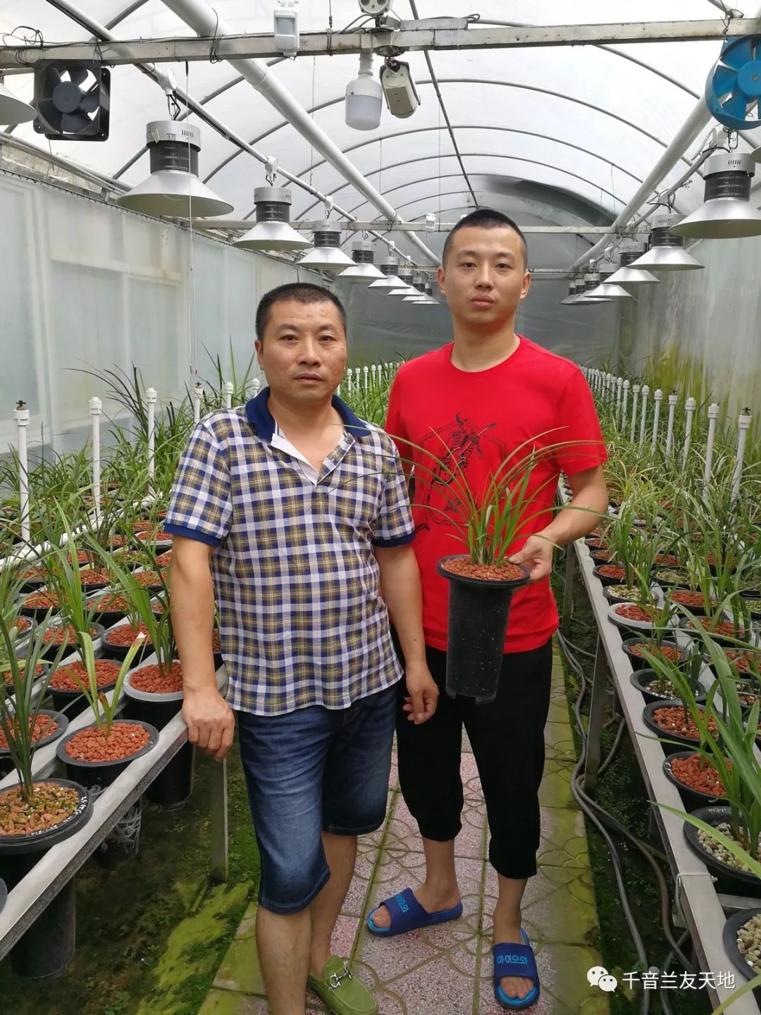 桃花潭水深千尺_桃花潭水_桃花潭水