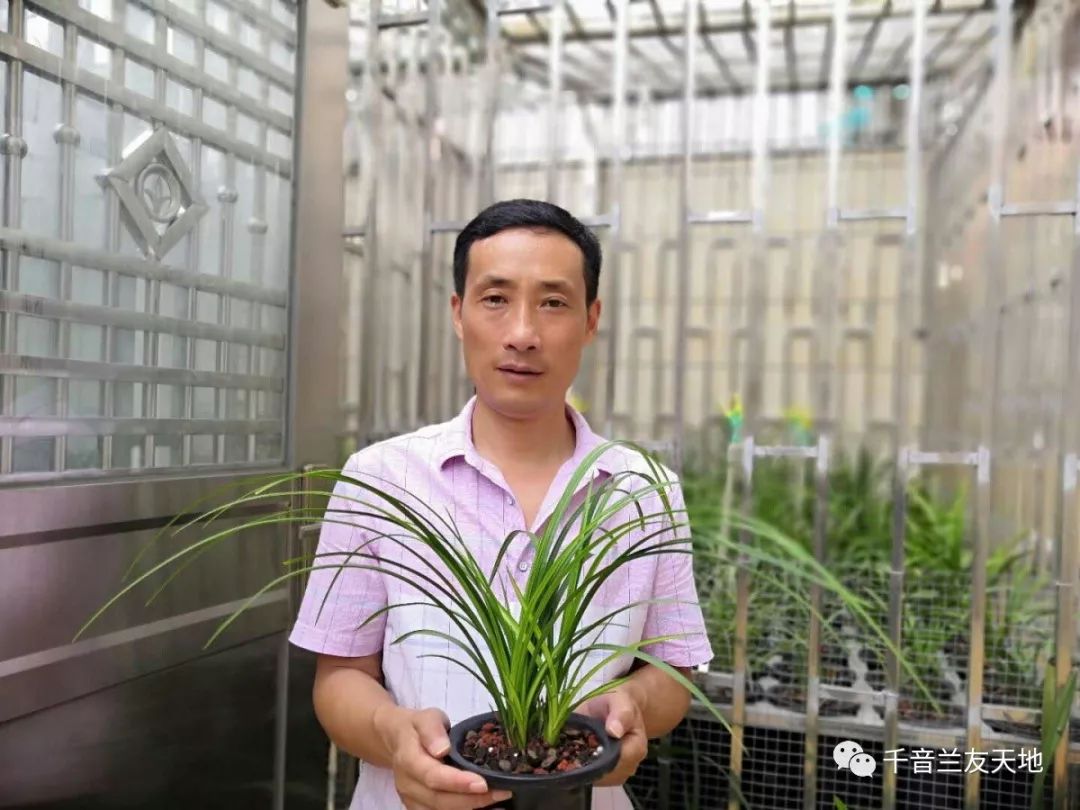 桃花潭水深千尺_桃花潭水_桃花潭水