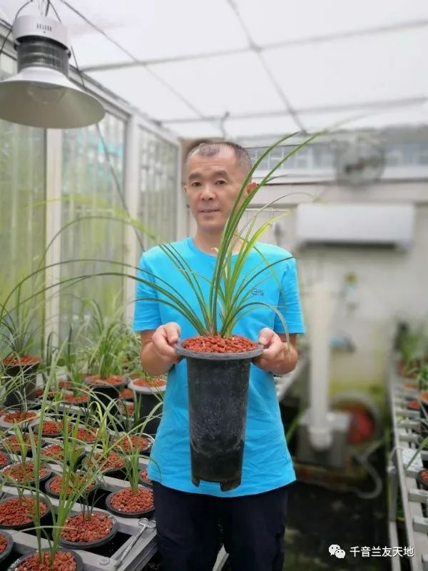 桃花潭水深千尺_桃花潭水_桃花潭水