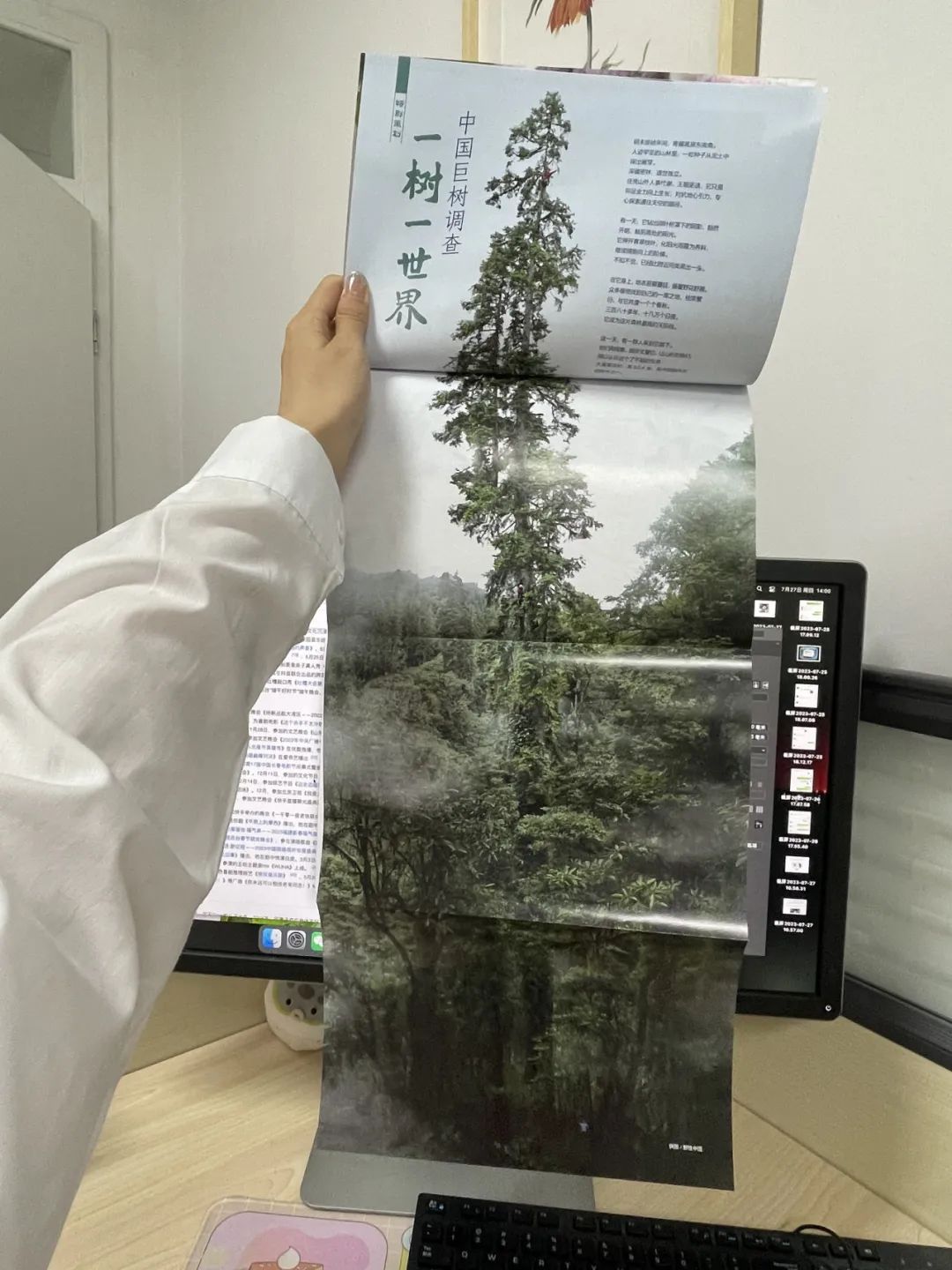 爬的英文_爬_爬组词