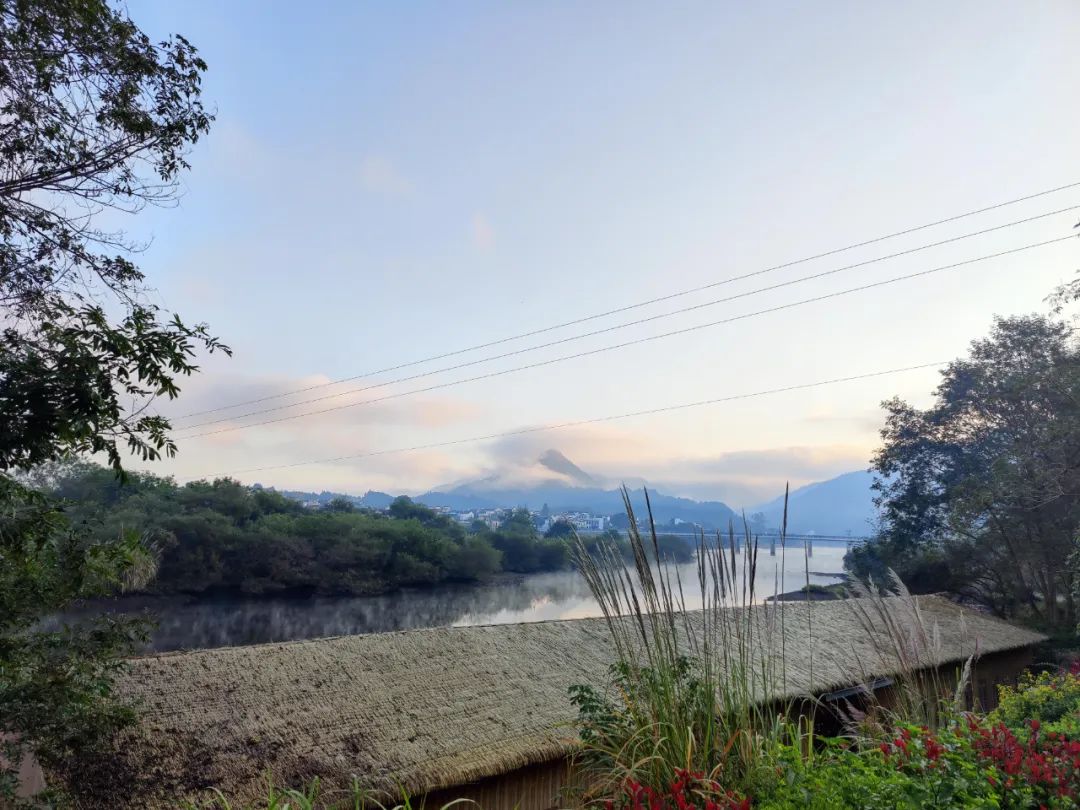 桃花潭水深千尺_桃花潭水_桃花潭水