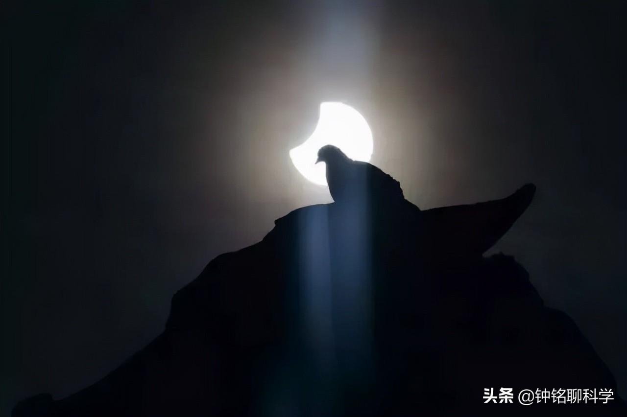 不祥之兆_不祥之兆_不祥之兆