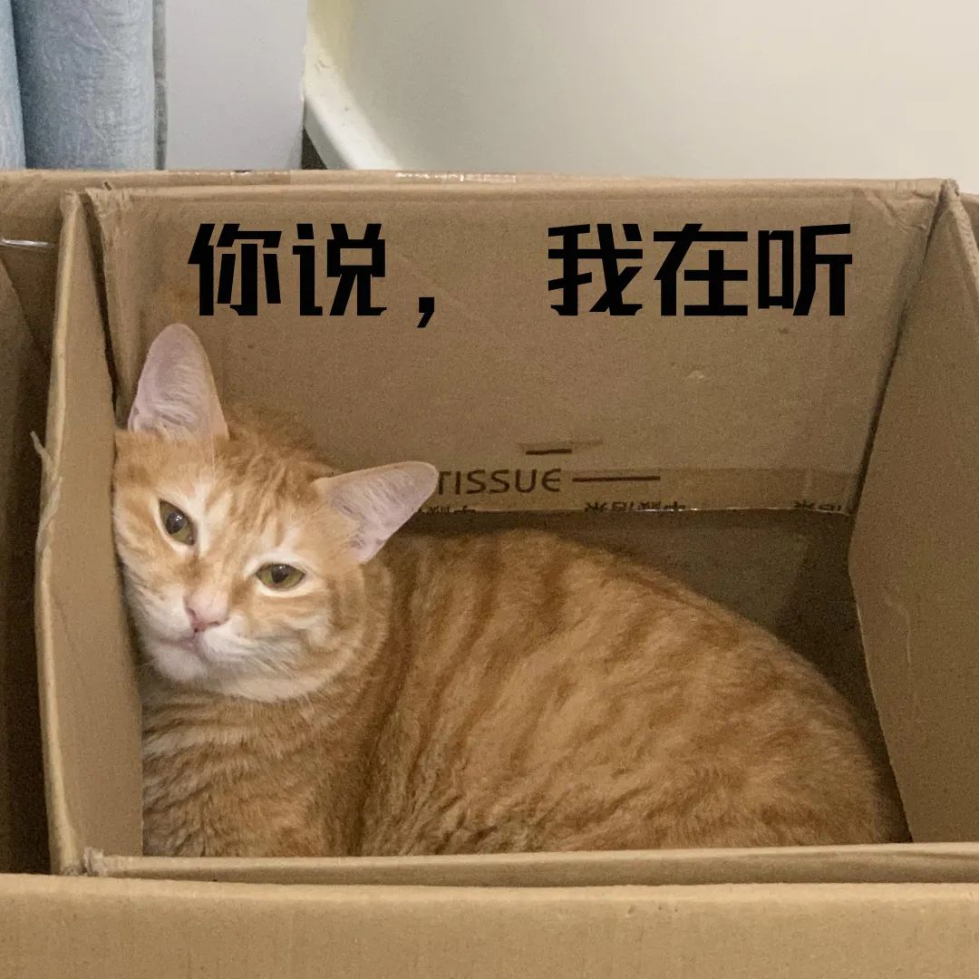e_exyexey_e站