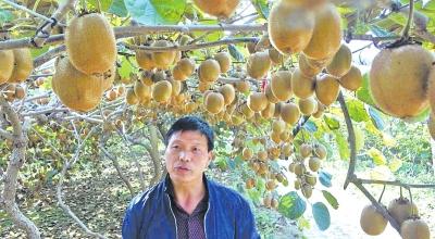 几经_几经_几经
