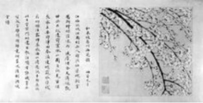 翁婿_翁婿斗法_翁婿指的是什么关系