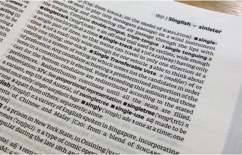 excesses是什么意思_excesses怎么读_excesses