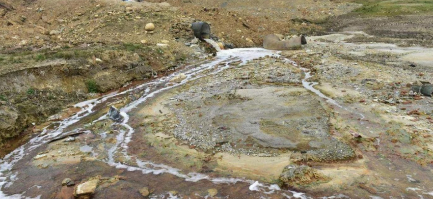 contaminate英语_contaminate造句_contaminate