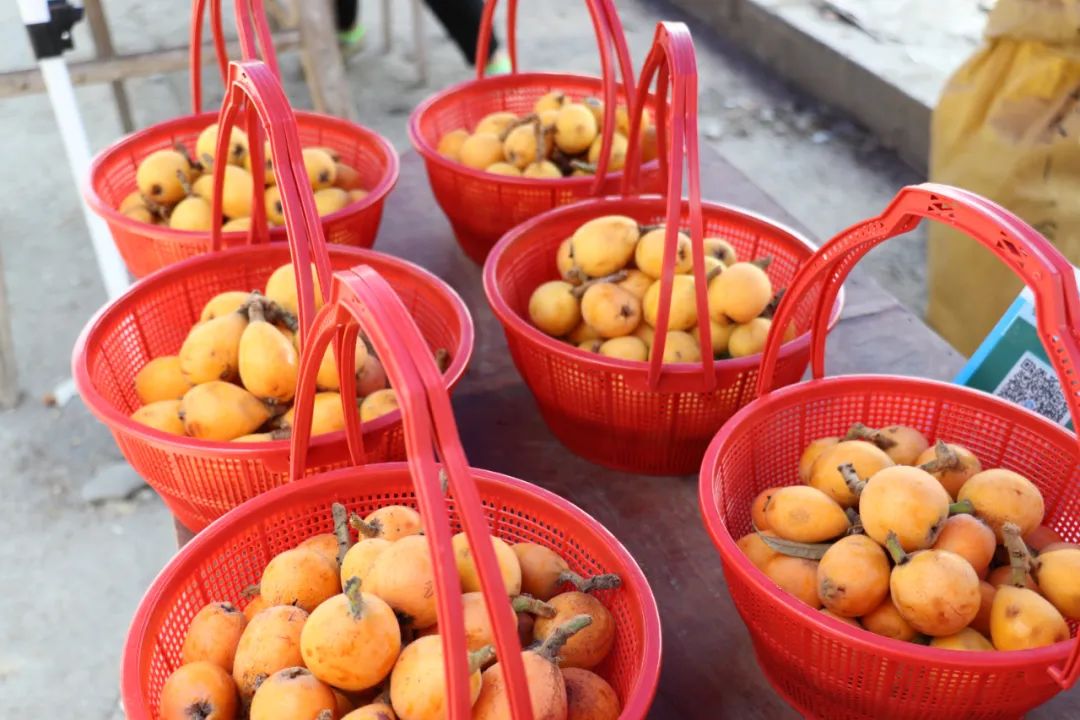 星火燎原_辛火燎原_燎原之火