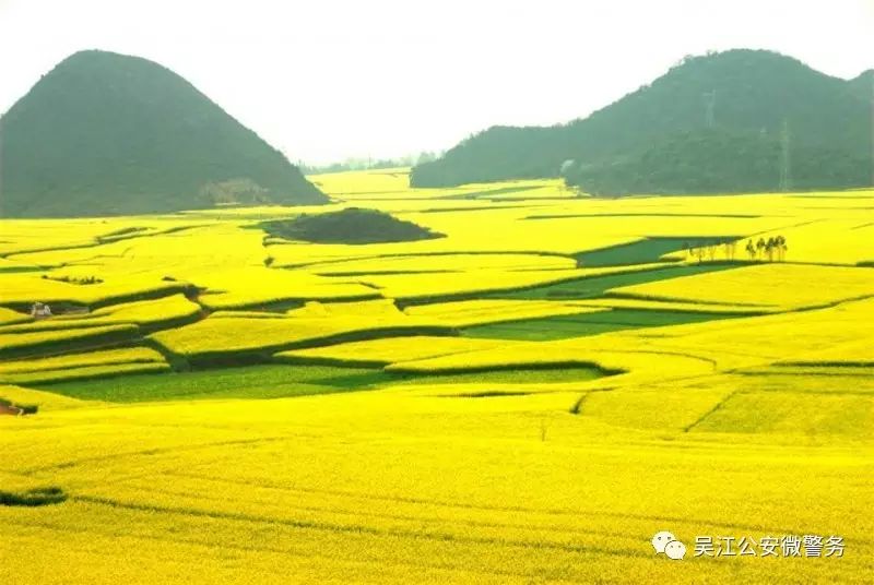 乘兴_乘兴而行_乘兴而行的意思