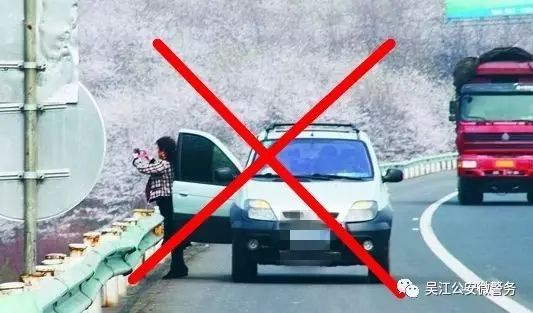 乘兴而行_乘兴而行的意思_乘兴