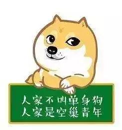 coined什么意思_coined翻译_coined