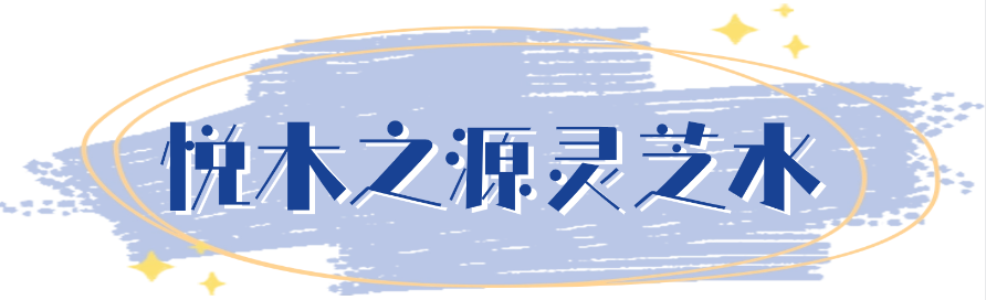 cover住_cover住_cover住