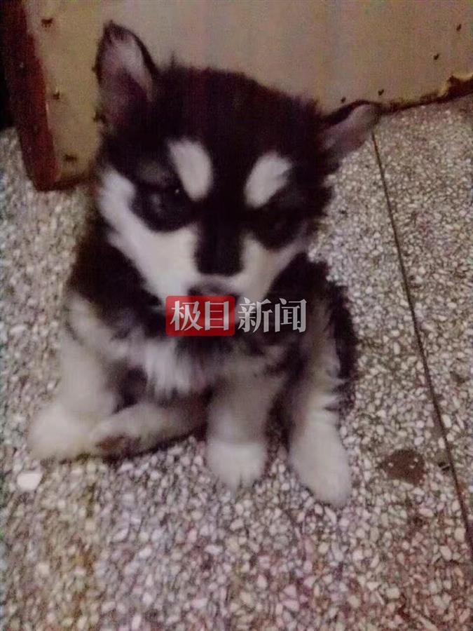 拜别_拜厄钢琴基本教程_拜糖平正确的服药方法