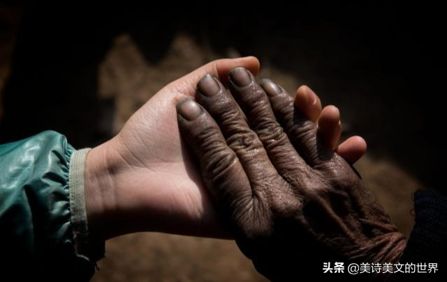 拜别_拜见宫主大人_拜年歌