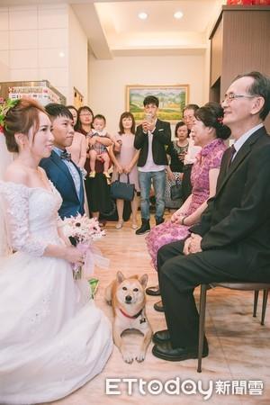 拜年你说啥_拜别_拜年服