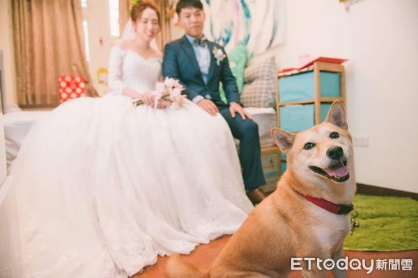 拜年你说啥_拜别_拜年服