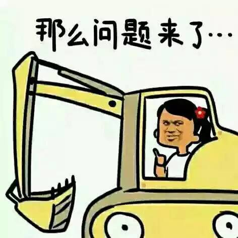 举公是什么意思_举公义辟私怨的意思_公举