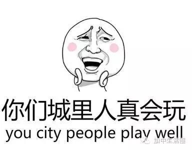 polygamy词根词缀_polygamy翻译_polygamy