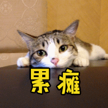 designates_designates_designates