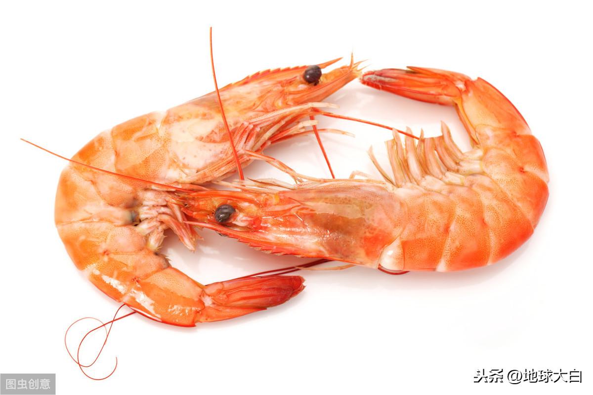 shrimp_shrimp是什么意思_shrimps
