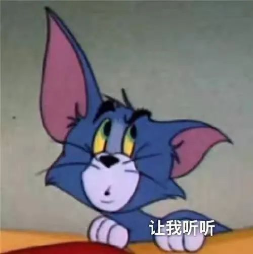 cadets_cadets怎么读_忍者cadets