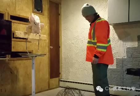 parrots中文翻译_parrots是什么意思_parrots