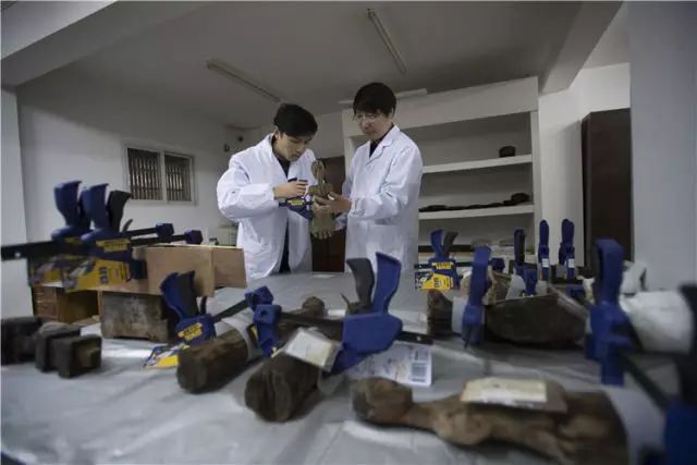 化腐朽为神奇的_化腐朽为神奇_腐朽神奇是什么意思