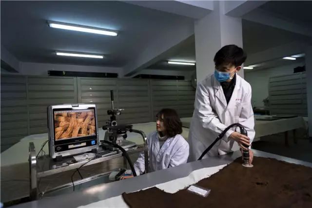 化腐朽为神奇的_腐朽神奇是什么意思_化腐朽为神奇